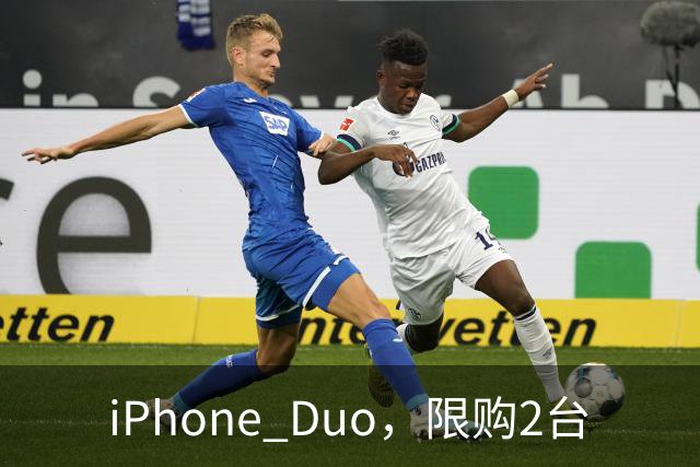 iPhone Duo,限购2台